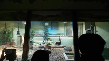 名古屋市東山動植物園に投稿された画像（2024/11/28）