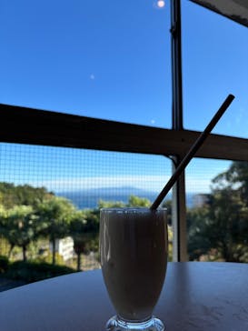 熱川バナナワニ園に投稿された画像（2024/11/28）