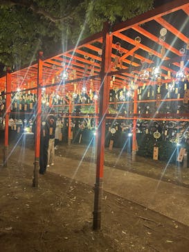 国営昭和記念公園 秋の夜散歩に投稿された画像（2024/11/29）