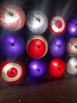 国営昭和記念公園 秋の夜散歩に投稿された画像（2024/11/29）