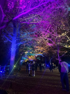 国営昭和記念公園 秋の夜散歩に投稿された画像（2024/11/29）