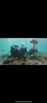 武藤潜水に投稿された画像（2024/11/29）