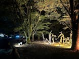 国営昭和記念公園 秋の夜散歩に投稿された画像（2024/11/29）