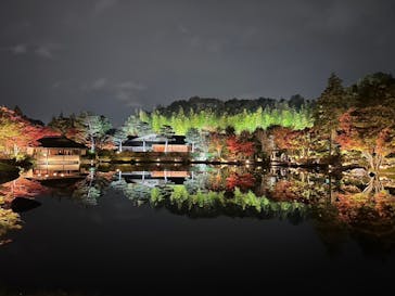 国営昭和記念公園 秋の夜散歩に投稿された画像（2024/11/29）