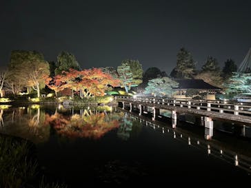 国営昭和記念公園 秋の夜散歩に投稿された画像（2024/11/29）
