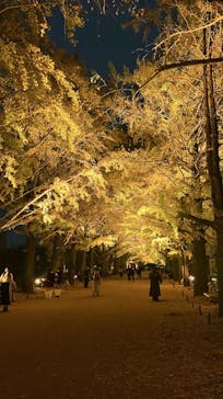 国営昭和記念公園 秋の夜散歩に投稿された画像（2024/11/29）
