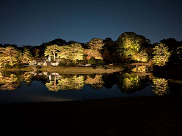 六義園に投稿された画像（2024/11/29）