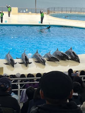 マリンワールド海の中道に投稿された画像（2024/11/29）