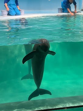 マリンワールド海の中道に投稿された画像（2024/11/29）