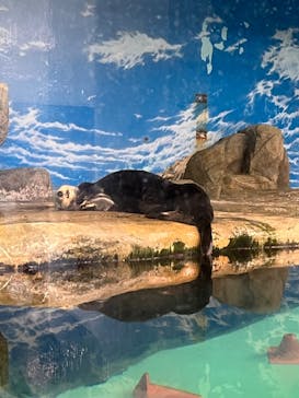 マリンワールド海の中道に投稿された画像（2024/11/29）