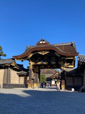 元離宮二条城に投稿された画像（2024/11/29）