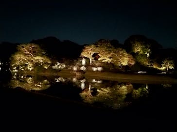 六義園に投稿された画像（2024/11/29）
