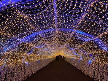 東京メガイルミに投稿された画像（2024/11/29）