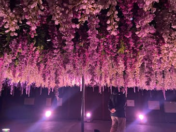 東京メガイルミに投稿された画像（2024/11/29）