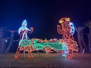 鹿児島イルミナージュに投稿された画像（2024/11/29）