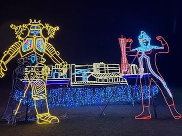 鹿児島イルミナージュに投稿された画像（2024/11/29）