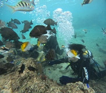 沖縄マリンサービス碧に投稿された画像（2024/11/29）