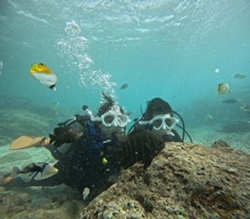 沖縄マリンサービス碧に投稿された画像（2024/11/29）