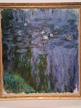 モネ 睡蓮のとき（国立西洋美術館）に投稿された画像（2024/11/29）