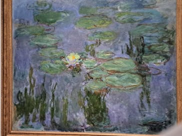 モネ 睡蓮のとき（国立西洋美術館）に投稿された画像（2024/11/29）