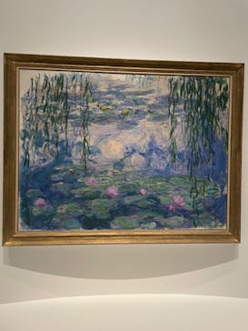 モネ 睡蓮のとき（国立西洋美術館）に投稿された画像（2024/11/29）