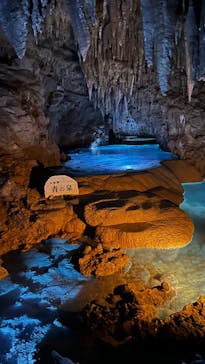 おきなわワールドに投稿された画像（2024/11/29）