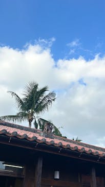 おきなわワールドに投稿された画像（2024/11/29）