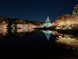 国営昭和記念公園 秋の夜散歩に投稿された画像（2024/11/29）