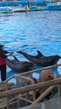 名古屋港水族館に投稿された画像（2024/11/29）