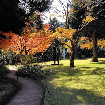 彫刻の森美術館に投稿された画像（2024/11/29）