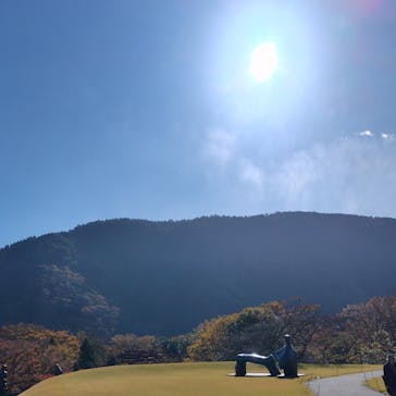 彫刻の森美術館に投稿された画像（2024/11/29）