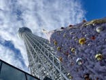 東京スカイツリーに投稿された画像（2024/11/29）
