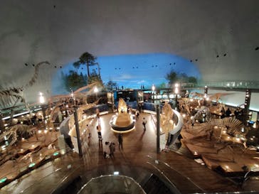 福井県立恐竜博物館に投稿された画像（2024/11/29）