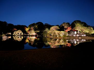 六義園に投稿された画像（2024/11/29）