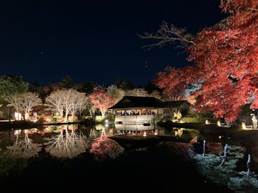 国営昭和記念公園 秋の夜散歩に投稿された画像（2024/11/29）
