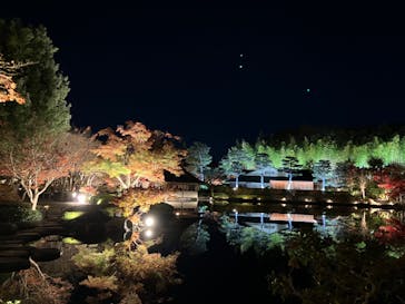 国営昭和記念公園 秋の夜散歩に投稿された画像（2024/11/29）