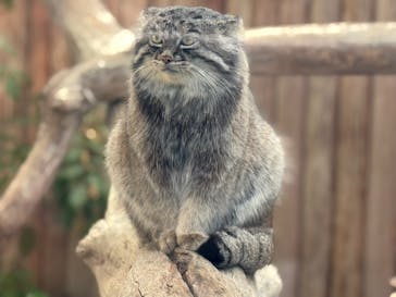 神戸どうぶつ王国に投稿された画像（2024/11/29）