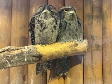 神戸どうぶつ王国に投稿された画像（2024/11/29）