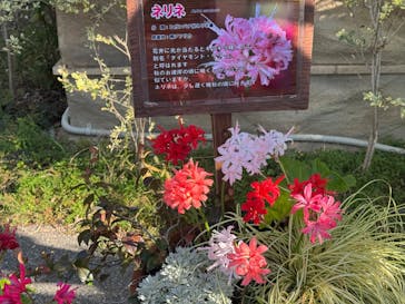 神戸どうぶつ王国に投稿された画像（2024/11/29）