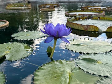 神戸どうぶつ王国に投稿された画像（2024/11/29）