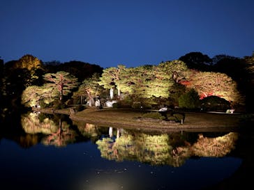 六義園に投稿された画像（2024/11/29）