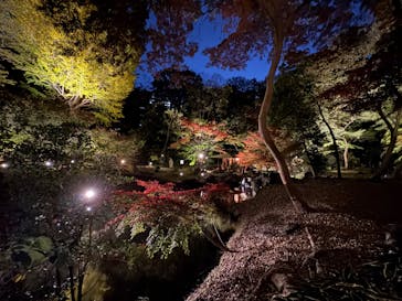 六義園に投稿された画像（2024/11/29）