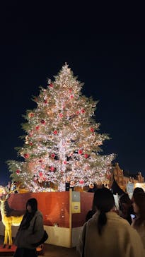 Christmas Market in 横浜赤レンガ倉庫 2025に投稿された画像（2024/11/29）