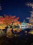 国営昭和記念公園 秋の夜散歩に投稿された画像（2024/11/29）