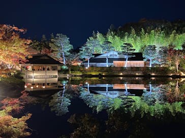 国営昭和記念公園 秋の夜散歩に投稿された画像（2024/11/29）