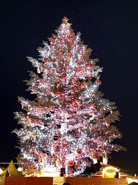 Christmas Market in 横浜赤レンガ倉庫 2025に投稿された画像（2024/11/29）