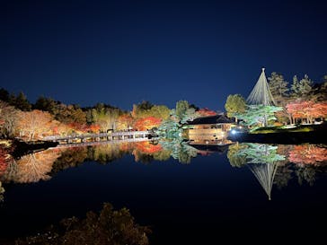 国営昭和記念公園 秋の夜散歩に投稿された画像（2024/11/29）