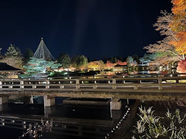 国営昭和記念公園 秋の夜散歩に投稿された画像（2024/11/29）