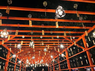 国営昭和記念公園 秋の夜散歩に投稿された画像（2024/11/29）