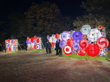 国営昭和記念公園 秋の夜散歩に投稿された画像（2024/11/29）